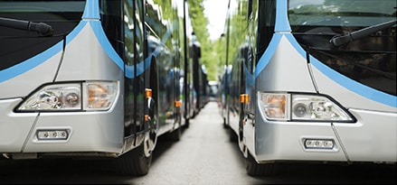 Busse, zusammen parkend